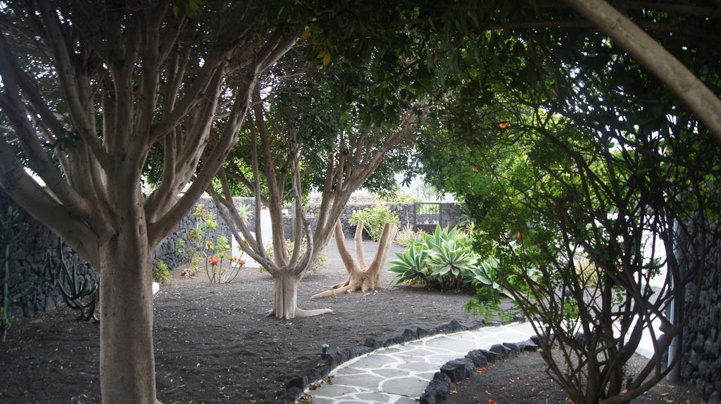 Finca La Rubina Mozaga Ngoại thất bức ảnh